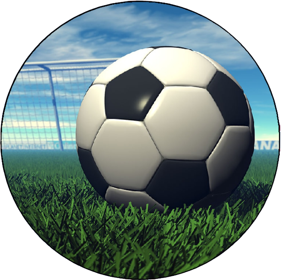 Soccerball and Net Edible Image